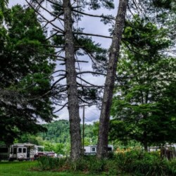 Experience a serene escape at Overland RV Park, where your comfort meets convenience. Ideally situated just two minutes from I-10 and within easy reach of Beaumont, Orange, and Port Arthur.