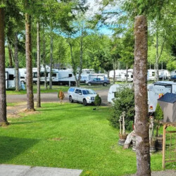 Explore a variety of campsites designed to meet the needs of every adventurer.