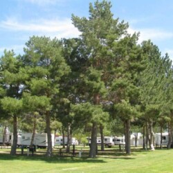 Enjoy our corner sites that provide a serene getaway, surrounded by natural beauty, perfect for unwinding and relaxation.